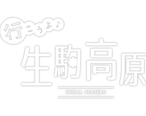 宮崎県小林市 生駒高原