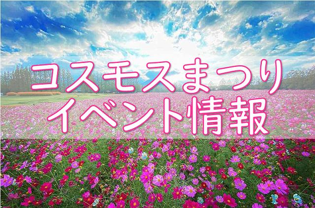 花の駅生駒高原 公式 コスモス ポピー 菜の花 宮崎県小林市