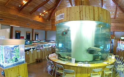 小林市淡水魚水族館
